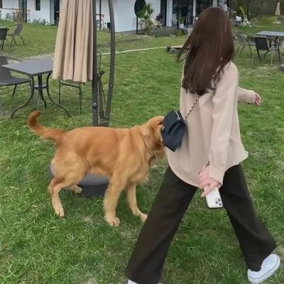 年轻的女王