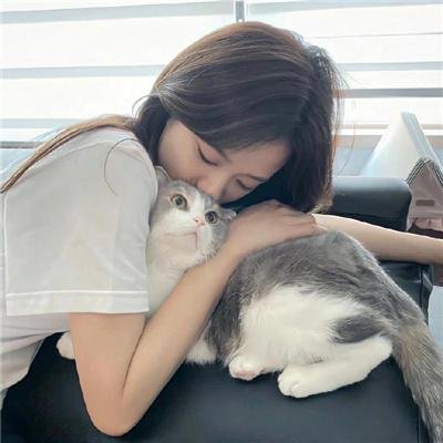 哈吉布基的森林冒险